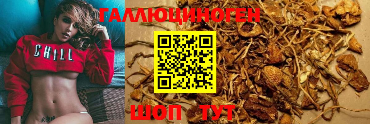 Псилоцибиновые грибы Magic Shrooms  Псилоцибиновые грибы Psilocybine cubensis  Лабытнанги  Вход с VPN 